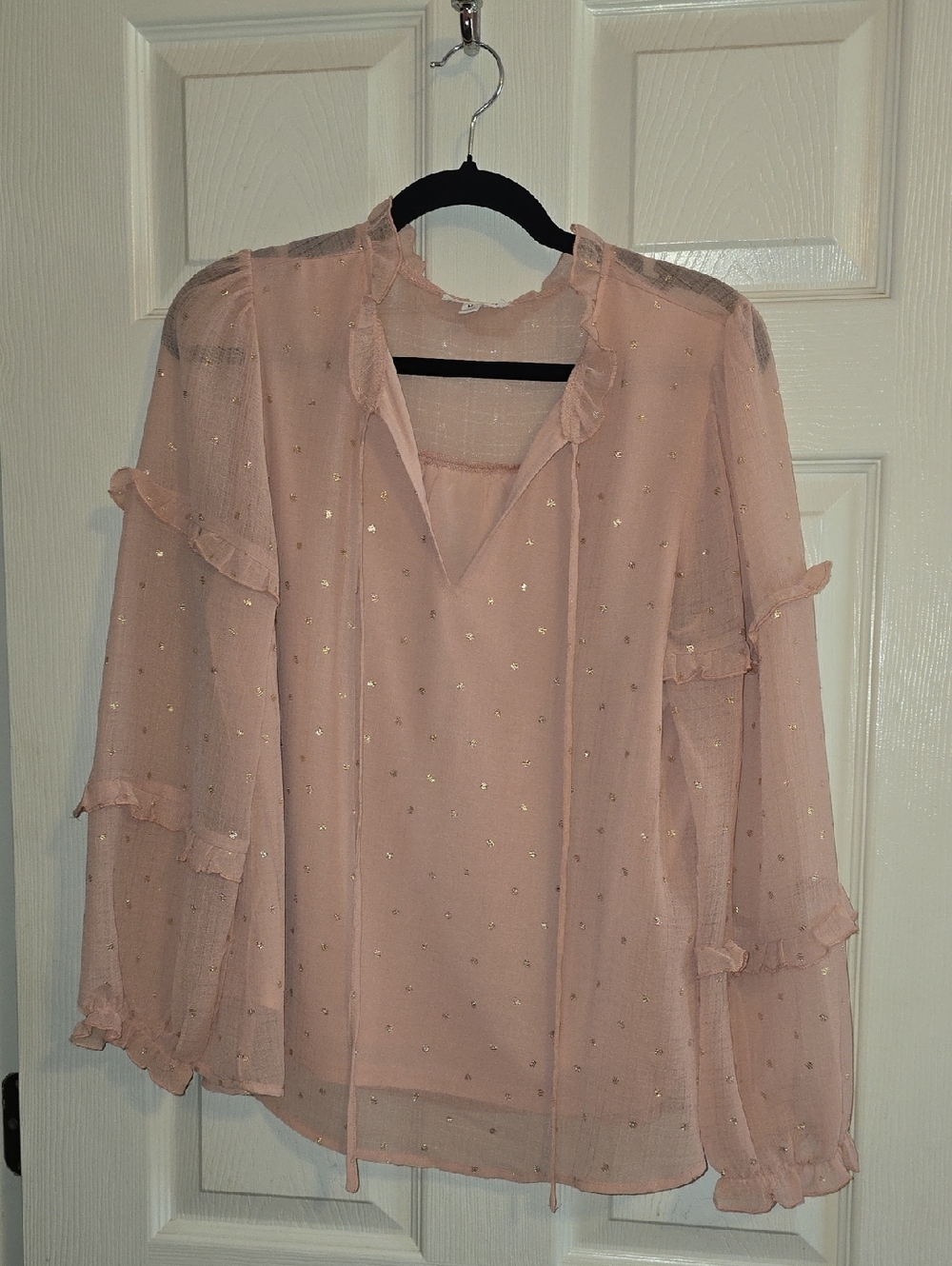 Blu Pepper Sheer Ruffled V-Neck Blouse in Blush Pink with Gold Dots